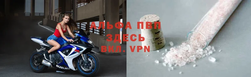 Alfa_PVP крисы CK  МЕГА как зайти  Лиски  сколько стоит 